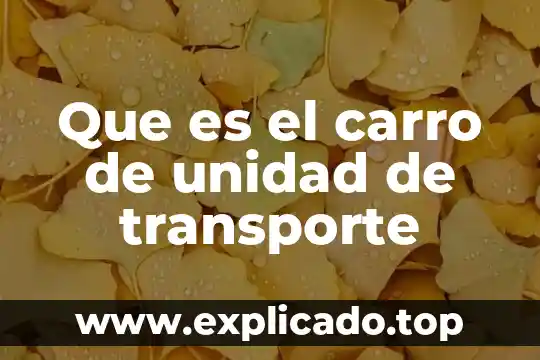 ¿Qué es mejor un carro nuevo o usado? 8 Que es el carro de unidad de transporte