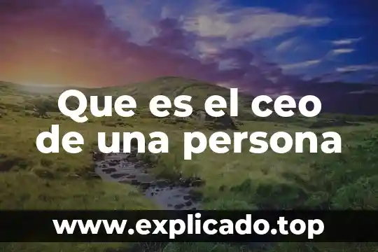 Que es determinar a una persona 4 Que es el ceo de una persona