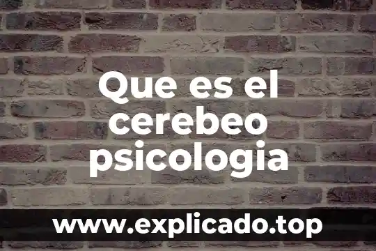 Que es el cerebeo psicologia