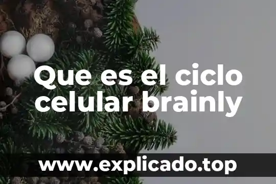 Por que es importate reciclar ciclo de vida de materiales 4 Que es el ciclo celular brainly