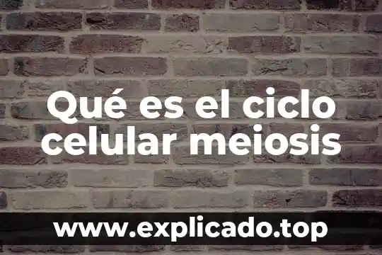 Por que es importate reciclar ciclo de vida de materiales 3 Qué es el ciclo celular meiosis