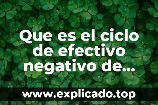 Por que es importate reciclar ciclo de vida de materiales 6 Que es el ciclo de efectivo negativo de una empresa