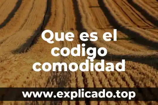 Que es la prueba en el nuevo codigo procesal penal 6 Que es el codigo comodidad
