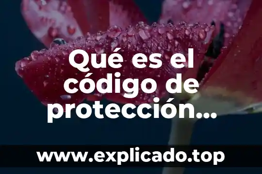 Qué es el derecho a la protección especial 5 Qué es el código de protección familiar México