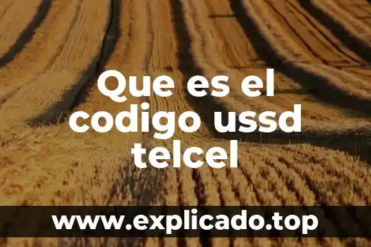 Que es plan fmto telcel 6 Que es el codigo ussd telcel