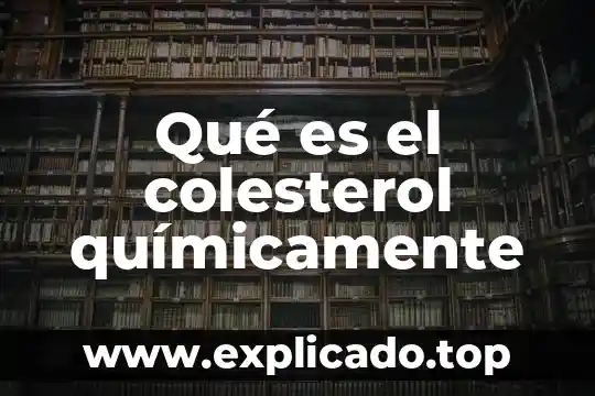 Qué es químicamente una grasa 5 Qué es el colesterol químicamente