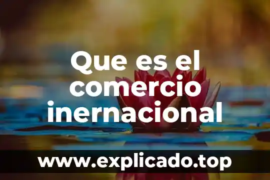 Qué es osd en comercio 5 Que es el comercio inernacional