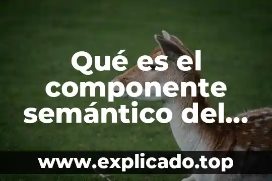 Que es el lenguaje dela abstraccion 3 Qué es el componente semántico del lenguaje