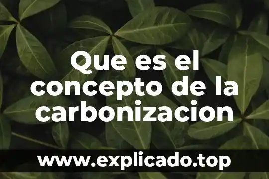 Que es la gramatica ensayos 3 Que es el concepto de la carbonizacion