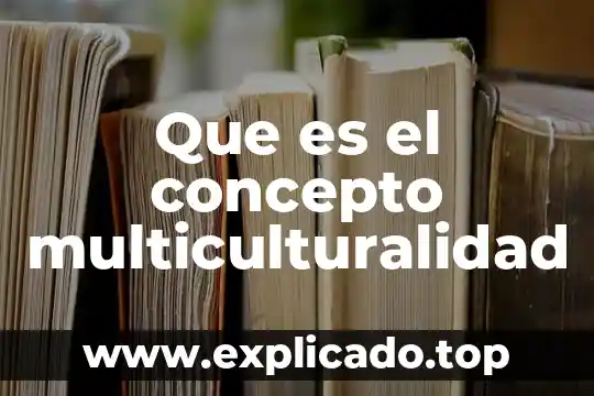 Que es la multiculturalidad definicion.de 5 Que es el concepto multiculturalidad