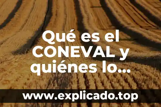 Que es el modelo tcp capas que lo integran 3 Qué es el CONEVAL y quiénes lo integran