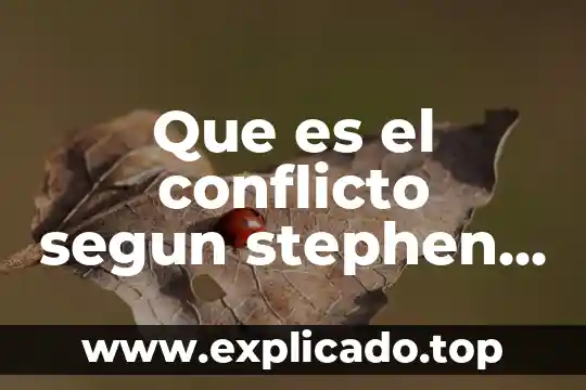 Que es un conflicto social brainly 6 Que es el conflicto segun stephen robbins