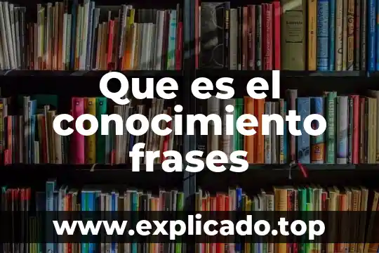 Frases textuales ejemplos que es 8 Que es el conocimiento frases