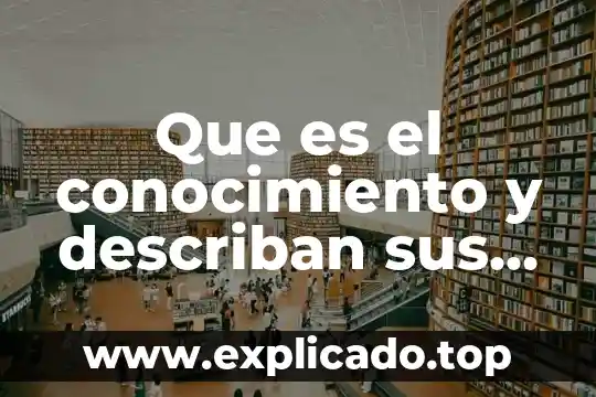 Que es tier y yahoo 8 Que es el conocimiento y describan sus elementos