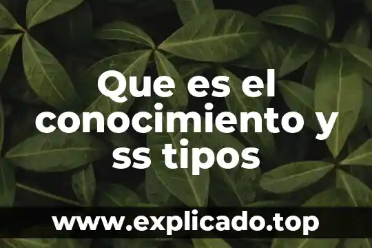Que es el conocimiento y ss tipos