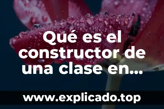 Qué es la clase social 8 Qué es el constructor de una clase en C++