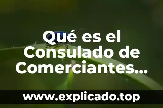 Que es un magistrado instructor en mexico 7 Qué es el Consulado de Comerciantes de México