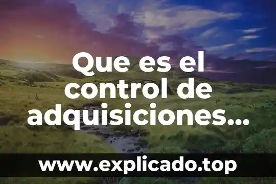 Qué es un programa anual de adquisiciones 6 Que es el control de adquisiciones proyectos