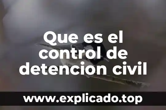 Que es el control de legaidad de la detención 3 Que es el control de detencion civil
