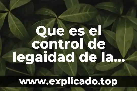 Que es el control de detencion civil 3 Que es el control de legaidad de la detención