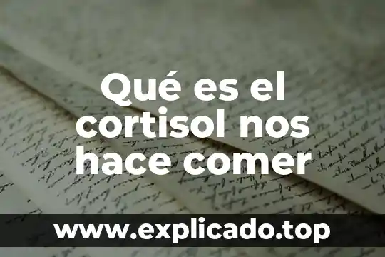 Que es un plano y que nos muestra 8 Qué es el cortisol nos hace comer