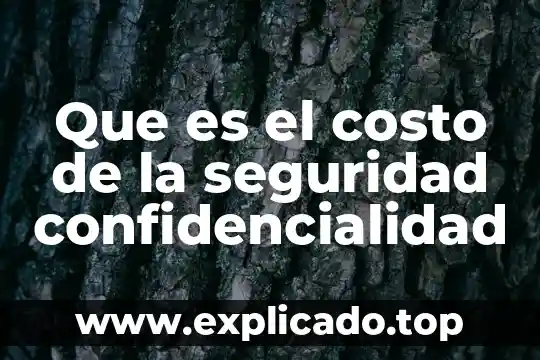 Seguridad energética que es 6 Que es el costo de la seguridad confidencialidad