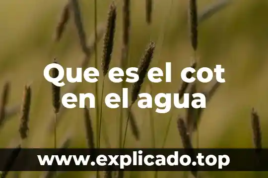 Que es el cot en el agua