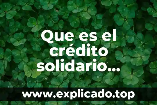 Qué es crédito avios 6 Que es el crédito solidario honduras