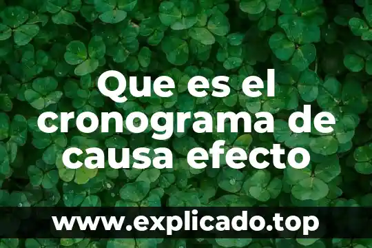 Que es el cronograma de causa efecto