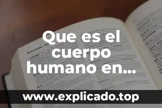 Que es un cuerpo etereo 6 Que es el cuerpo humano en artes