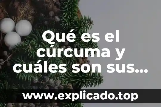 Que es un ensayo y cuales sonses partes 6 Qué es el cúrcuma y cuáles son sus beneficios