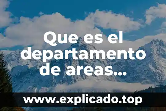 Que es diagrama de areas de empresa 8 Que es el departamento de areas publicas