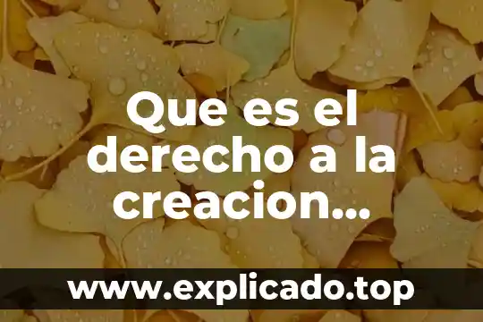 Qué es la línea en artística 7 Que es el derecho a la creacion artistica