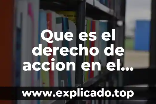 Que es el acto procesal optativo 7 Que es el derecho de accion en el punto procesal