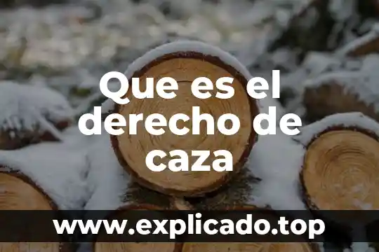 Que es el derecho real de condominio 5 Que es el derecho de caza