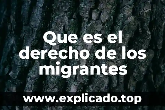 Que es derecho de las personas migrantes 5 Que es el derecho de los migrantes