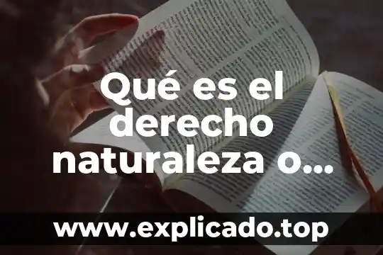 Para que es la materia fundamentos de la investigacion 7 Qué es el derecho naturaleza o fundamentos del derecho