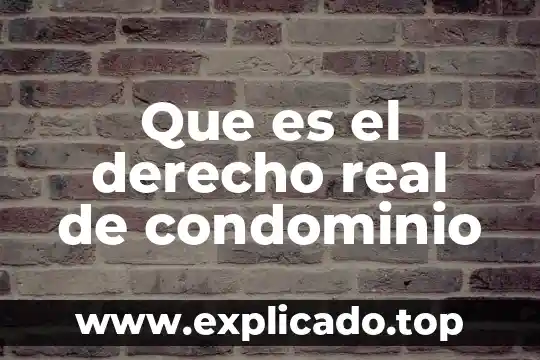 Que es el derecho de caza 5 Que es el derecho real de condominio