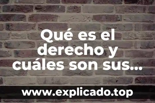 Que es una sintesis y cuales son sus elementos 3 Qué es el derecho y cuáles son sus ramas