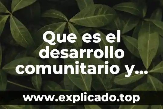 Qué es el saneamiento básico familiar y comunitario 3 Que es el desarrollo comunitario y cual es su funcion