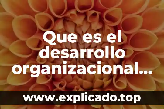 Que es identidad organizacional 8 Que es el desarrollo organizacional caracteristicas etapas de proceso