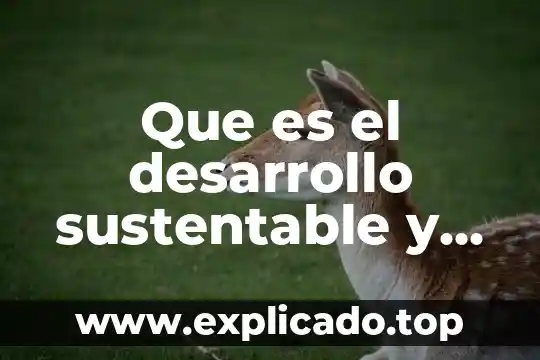 Patrones basicos de movimiento que es 8 Que es el desarrollo sustentable y sus principios basicos