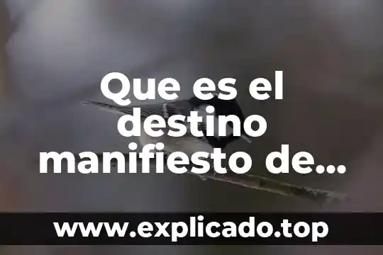 Qué es más exportación fusión adquisición en Estados Unidos 8 Que es el destino manifiesto de los estados unidos