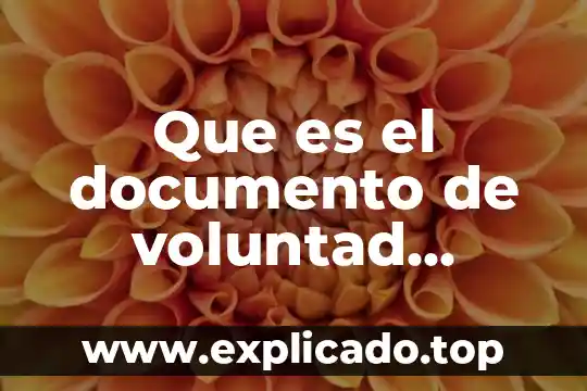 Que es tamaño del documento 6 Que es el documento de voluntad anticipada