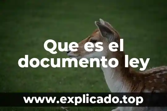 Qué es ley natural derechos humanos 5 Que es el documento ley