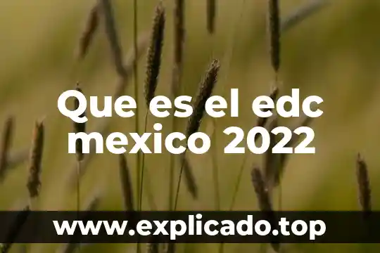 Que es el derecho contemporaneo en mexico 5 Que es el edc mexico 2022