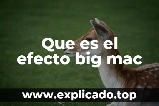 Que es el big data y analytics 3 Que es el efecto big mac