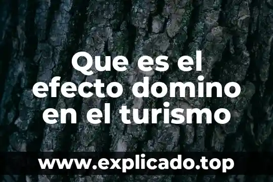 Que es un programa de turismo 5 Que es el efecto domino en el turismo