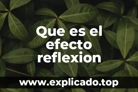 Que es el ser humano como un ser reflexion 5 Que es el efecto reflexion