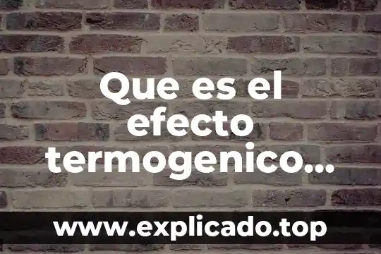 Qué es mejor ejercicio para bajar de peso 3 Que es el efecto termogenico para bajar de peso